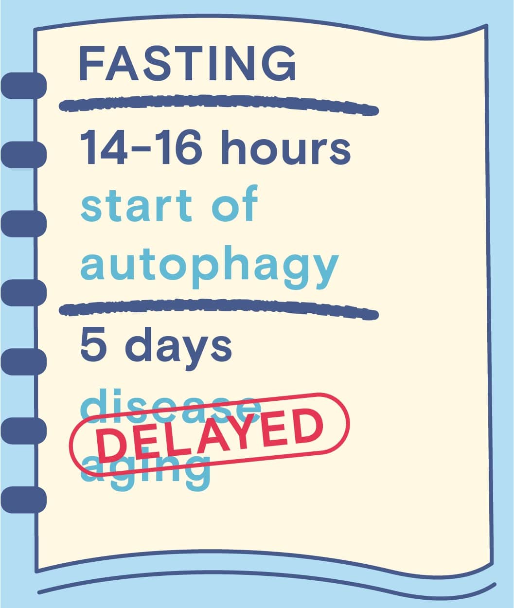 Fasting Autophagy Chart Time