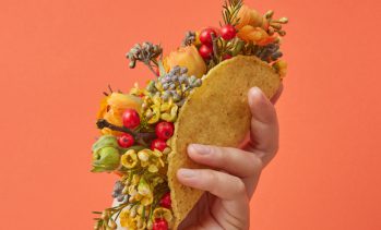 Woman holding taco with flowers and berries on orange background with copy space
